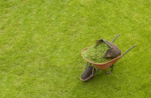 wheelbarrow-and-grass-1428559